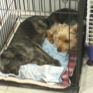 Meet your Posher, Kaden